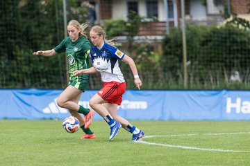 Bild 220 - wBJ HSV Leistungsvergleich